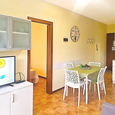 Auriga ביביונה